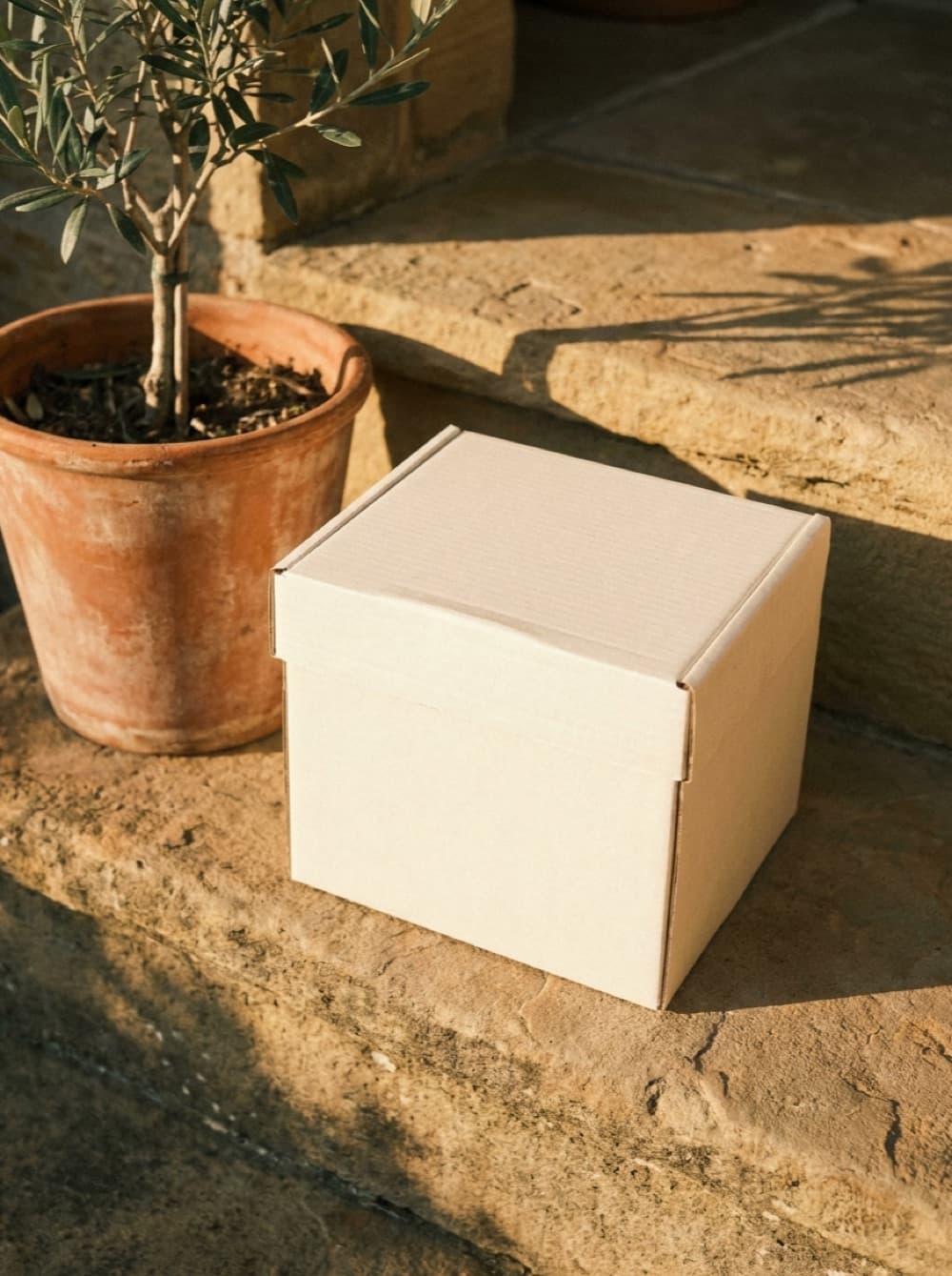 Discreet package on a doorstep